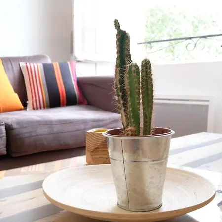 Guestready - Old Charm And Modern Comfort * ビアリッツ